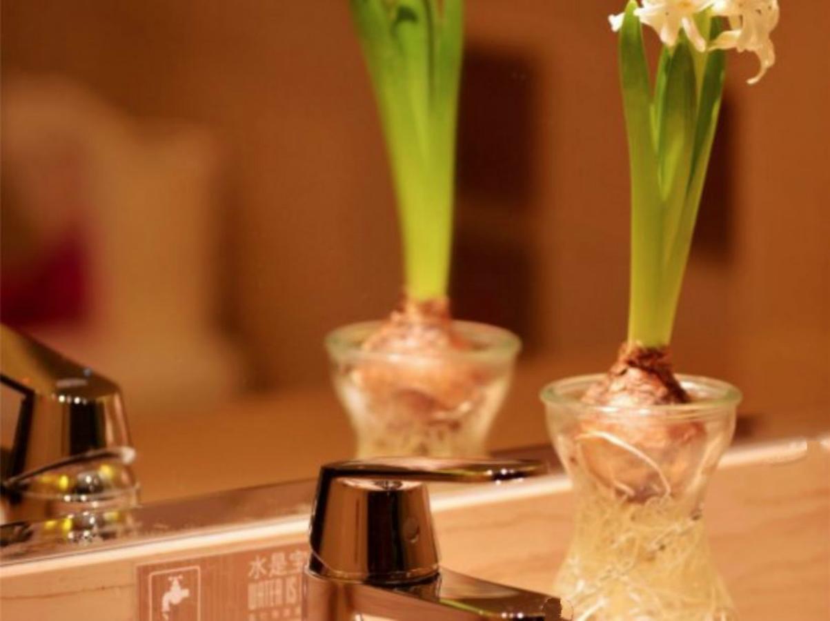 Greentree Inn Beijing Dongcheng District Wangfujin South Luogu Lane Houhai Express Hotel Екстер'єр фото
